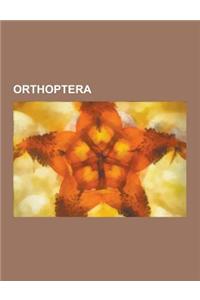 Orthoptera