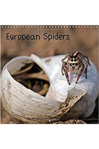 European Spiders 2017