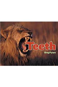Rigby Literacy: Student Reader Bookroom Package Grade 2 (Level 16) Teeth