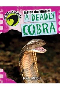 Inside the Mind of a Deadly Cobra