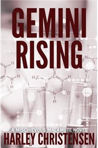 Gemini Rising