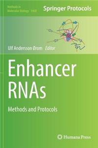 Enhancer Rnas