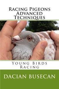 Racing Pigeons Advanced Techniques