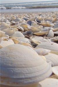 White Shells Journal