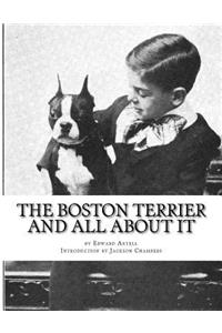 Boston Terrier and All About It