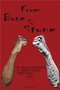 From Bone to Stone