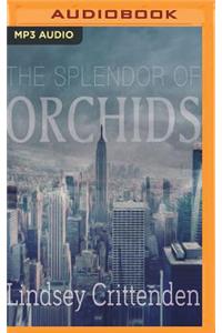 Splendor of Orchids