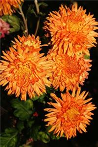 Orange Mums Autumn Flower Journal