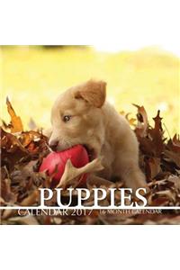 Puppies Calendar 2017