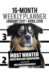 2017-2018 Weekly Planner - Most Wanted Australian Shepherd