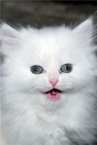 I Am Kitten, Hear Me Roar Persian Cat Journal