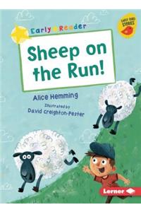 Sheep on the Run!