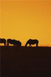 Journal Horses Sunset Silhouettes Equine