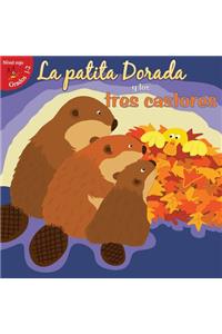 La Patita Dorada Y Los Tres Castores