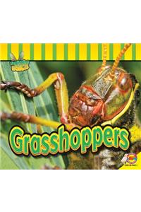 Grasshoppers