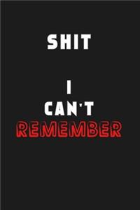 Shit I Can't Remember
