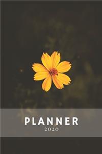 Planner 2020