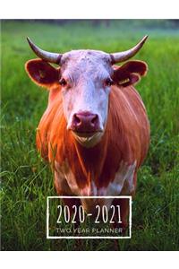 Two Year Planner 2020-2021