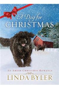 Dog for Christmas: An Amish Christmas Romance