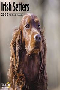 IRISH SETTERS WALL CALENDAR 2020