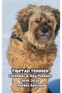 Tibetan Terrier Calendar & Day Planner 2019-2020 Pocket Edition