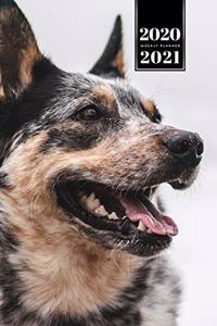 German Shepherd Dog Calendar Week Planner 2020 / 2021 - Dreamy Eyes