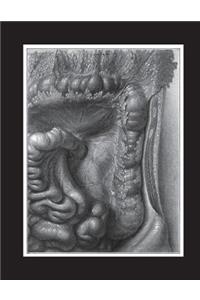 Left Kidney In Situ Notebook