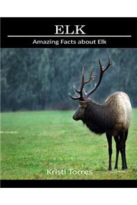 Amazing Facts about Elk