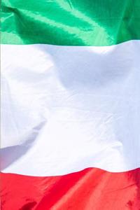 Italian Flag Journal Golding Flag Series
