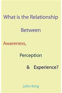 What is the Relationship Between Awareness, Perception & Experience?