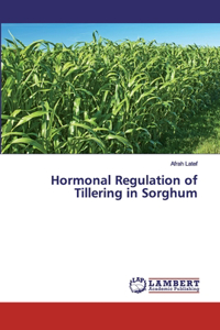 Hormonal Regulation of Tillering in Sorghum