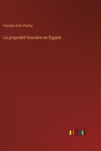 propriété foncière en Égypte