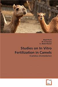 Studies on In Vitro Fertilization in Camels