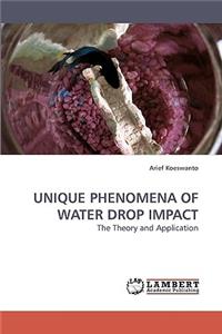 Unique Phenomena of Water Drop Impact