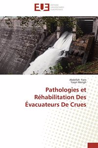 Pathologies Et Réhabilitation Des Évacuateurs de Crues