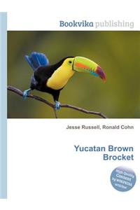 Yucatan Brown Brocket