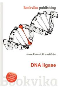 DNA Ligase