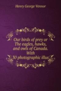 OUR BIRDS OF PREY OR THE EAGLES HAWKS A