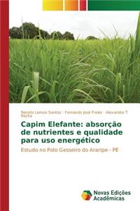 Capim Elefante