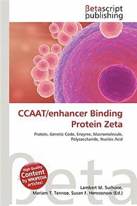 Ccaat/Enhancer Binding Protein Zeta