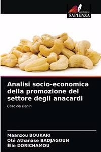 Analisi socio-economica della promozione del settore degli anacardi
