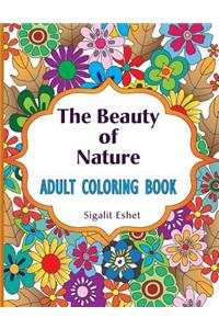 Beauty of Nature