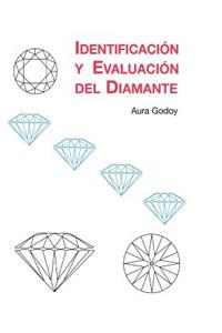 Identificacion y Evaluacion del Diamante