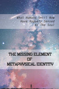 The Missing Element Of Metaphysical Identity