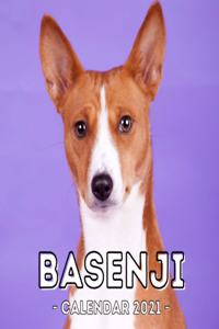 Basenji