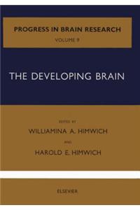 The Developing Brain