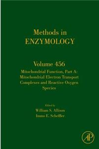 Mitochondrial Function