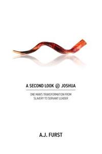 Second Look @ Joshua