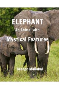 Elephant - An Animal with Mystical Features