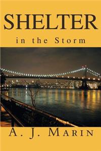 Shelter in the Storm
